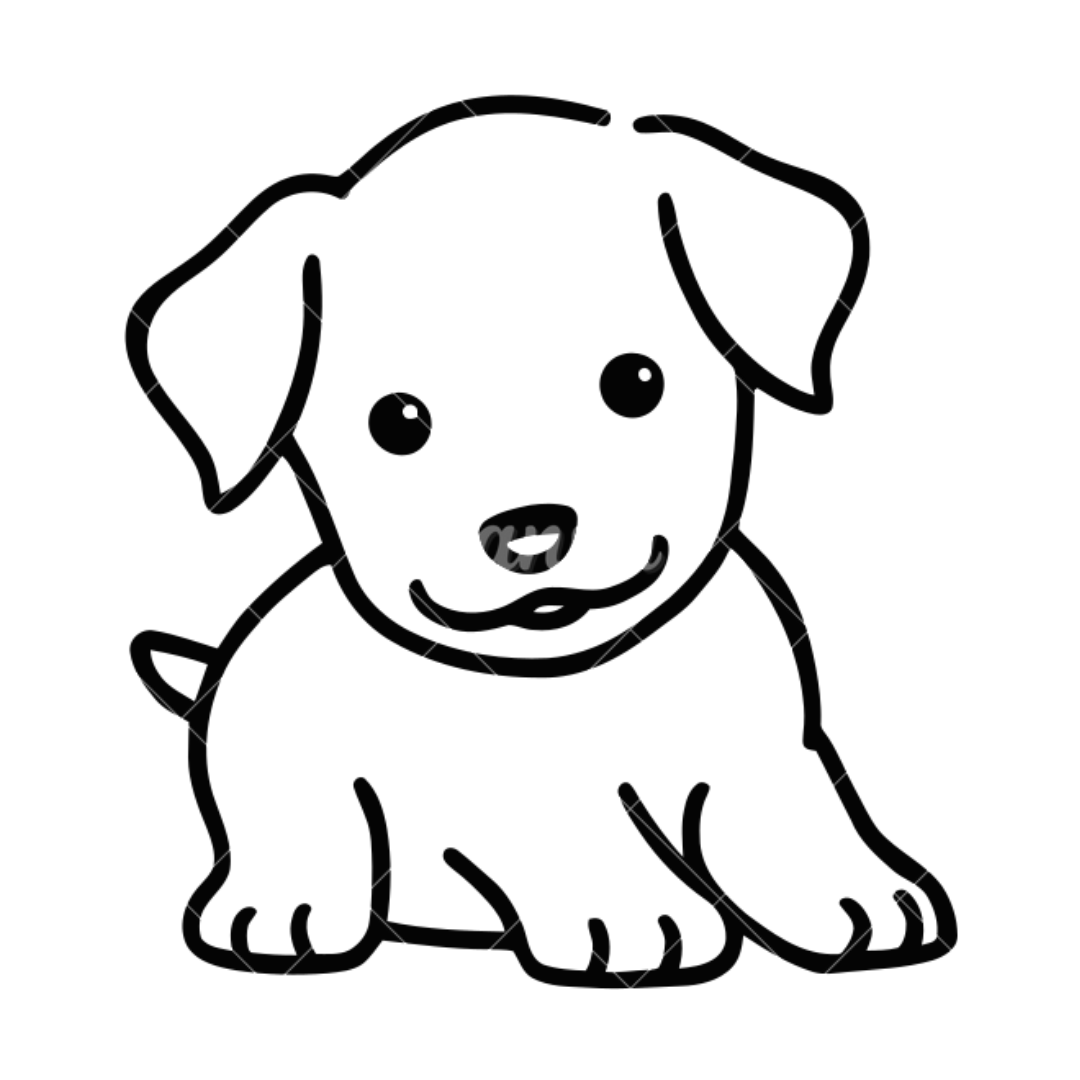 Cachorro